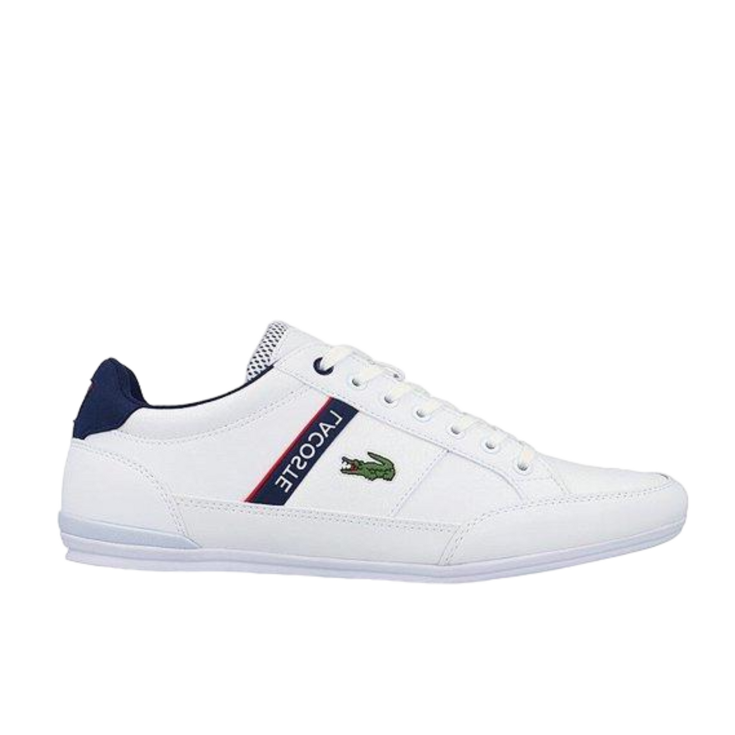 LACOSTE CHAYMON 740CMA0067-407