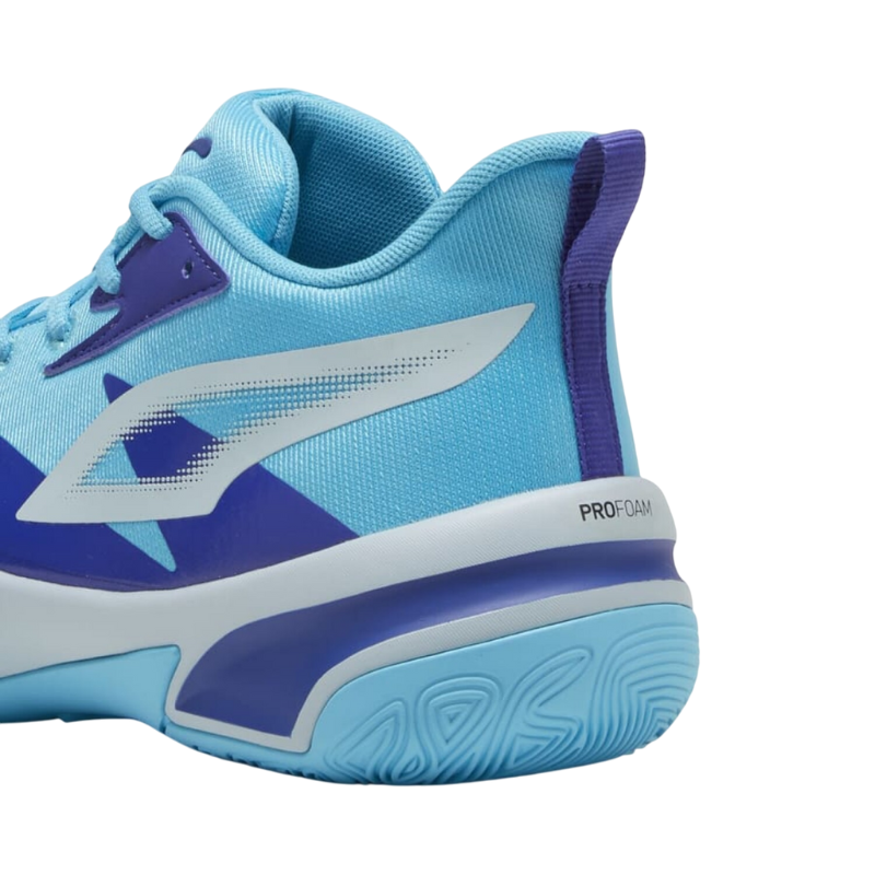 PUMA IDENTITY OF THE GENETICS