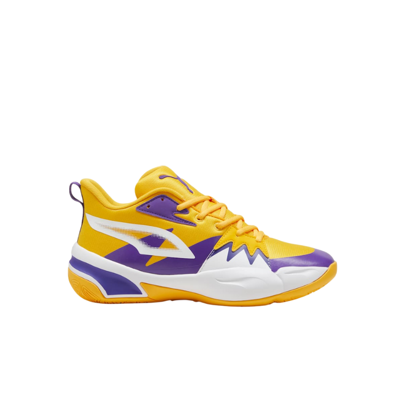PUMA IDENTITY OF THE GENETICS